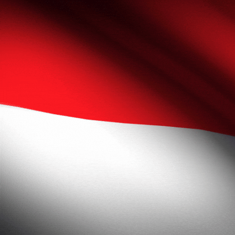 indonesia flag sport gif by xponentialdesign